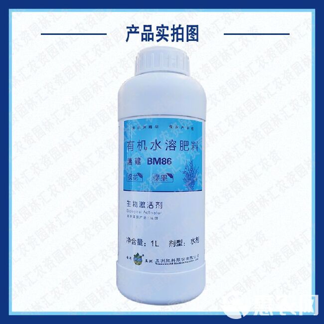 五洲速建BM86海藻素叶面肥柑橘芒果水溶肥料叶面肥座果预防畸