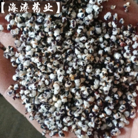 【王不留行】产地河南实物拍摄道地药材一手货源大货供应规格齐全