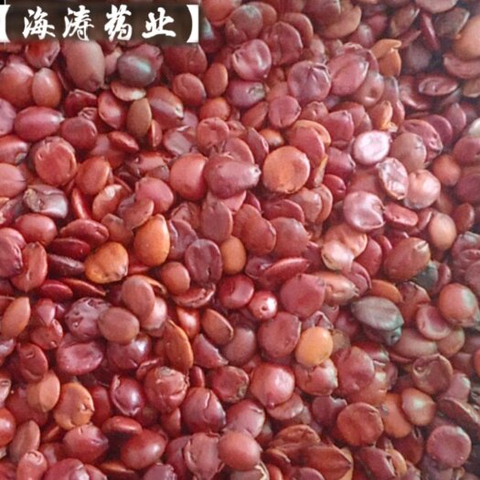 鄄城县【枣仁】枣仁实物拍摄一手货源大货供应规格齐全量大优惠。