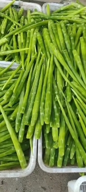 兰陵县莴笋肉