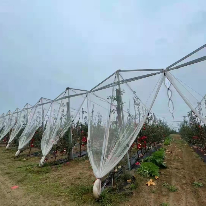 08孔苹果防雹网厂家批发白色塑料防冰雹网