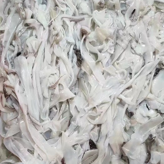 北海大墨鱼边角料 加工大墨鱼仔碎肉适合加工丸子零食类产品 价格优