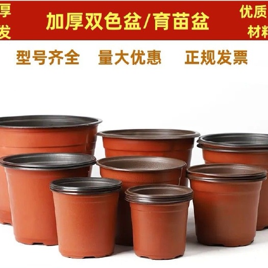 双色盆育苗盆 育苗钵 营养钵 营养杯