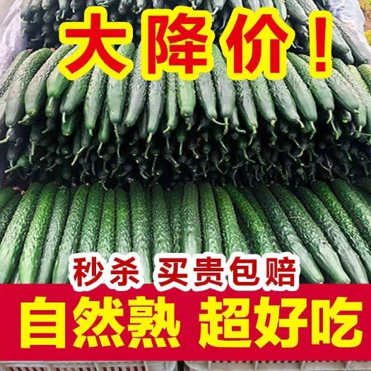 新鲜黄瓜天然带刺黄瓜农家自种现摘现发新鲜蔬菜3/5斤装包邮