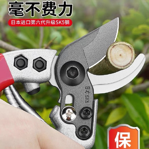桂林秀田果树修树枝剪剪果枝树枝剪园艺修花剪园林省力修剪粗枝剪刀