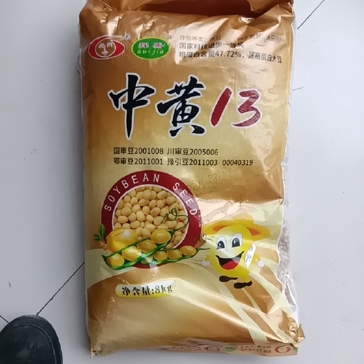 沛县大豆种中黄13