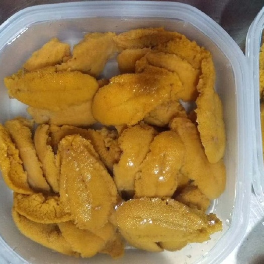 大连海胆水盒