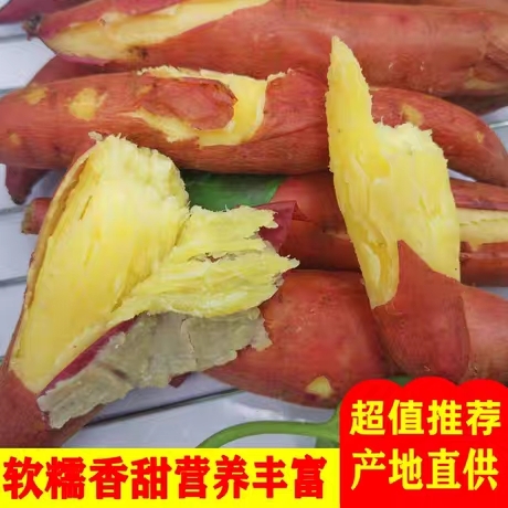 山西板栗薯黄河沙地种植新鲜红薯3/5/9斤