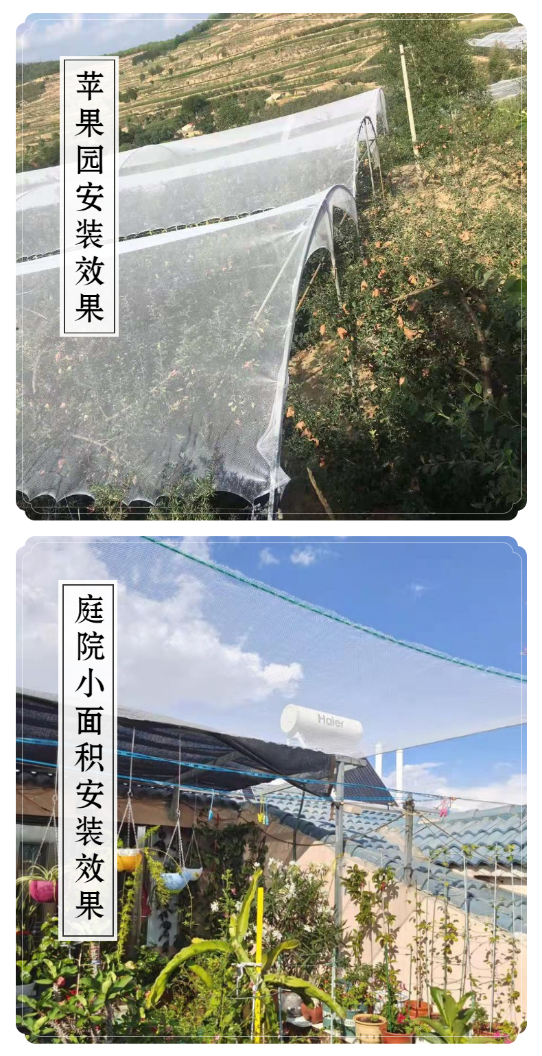 08孔苹果防雹网厂家批发白色塑料防冰雹网