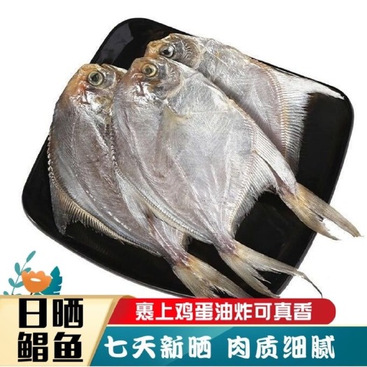 日照盐干鲳鱼干山东日照发货