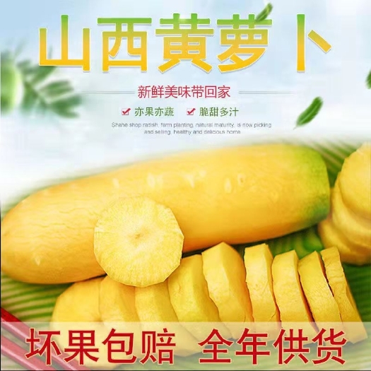 山西运城黄萝卜新鲜胡萝卜新疆手抓饭萝卜农家时令当季疏菜