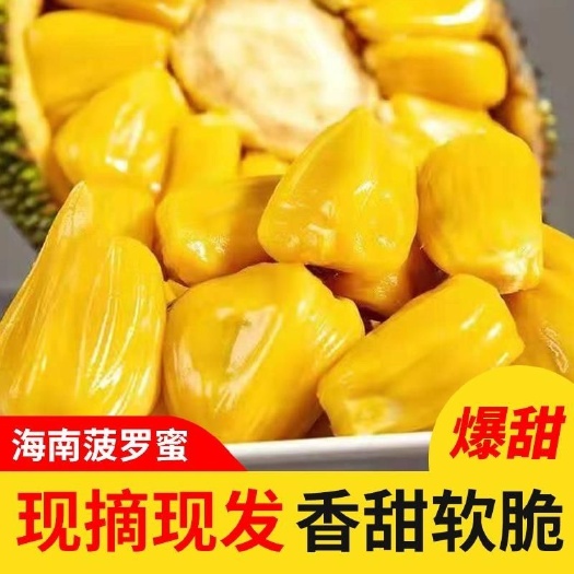 广州现摘当季海南菠萝蜜一整个新鲜批发菠萝蜜