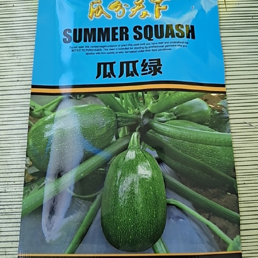陆良县瓜绿绿西葫芦