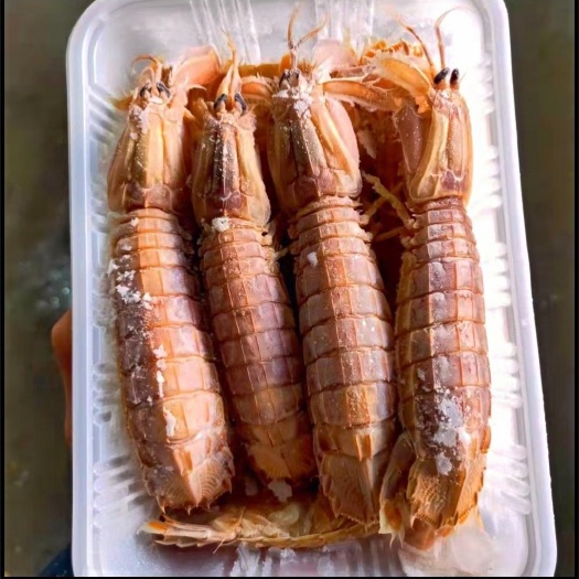 连云港特大号熟冻母皮皮虾，满黄，味美，产地一手货源
