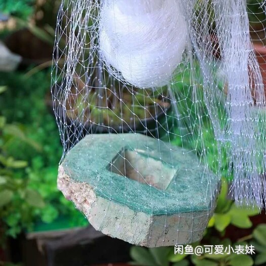 无棣县果园防鸟网！厂家直销！