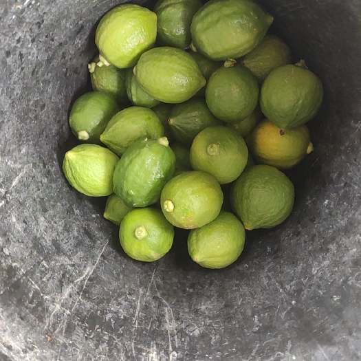 平南县广西平南县香水柠檬
