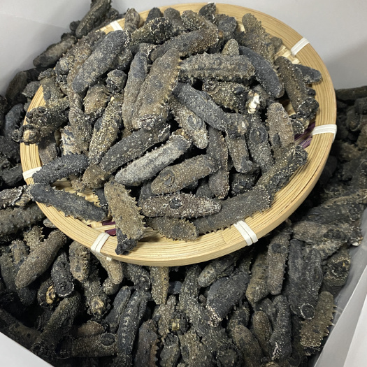 关西海参产地原货泡发高肉质厚