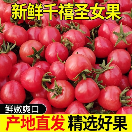 乐业县【超低价】千禧圣女果小番茄新鲜孕妇应季水果西红柿蔬菜整箱批发