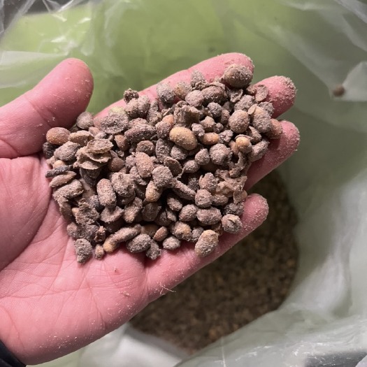 寿光市新上产品纯黄豆发酵大豆