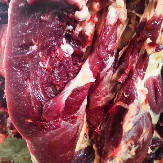 新鲜带皮驴肉 屠宰场一手资源 可空运