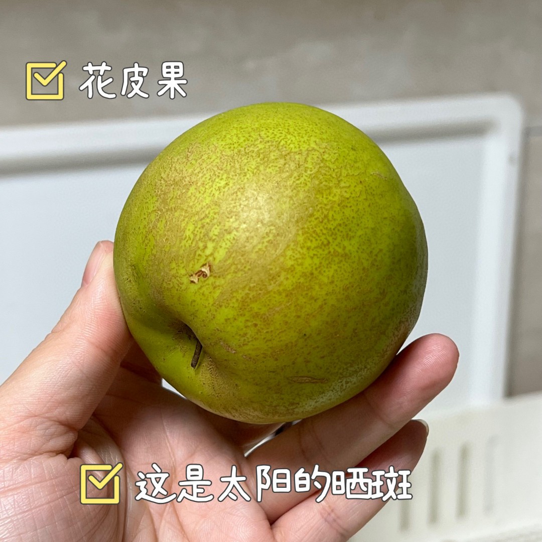 【爆脆清甜 爽口低.热量】福建贵妃枣牛奶枣脆蜜甜枣