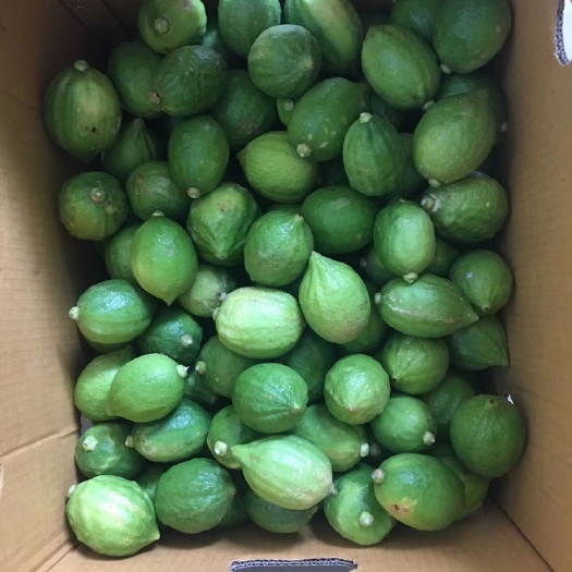 广州广东香水柠檬次一级果现货￼
