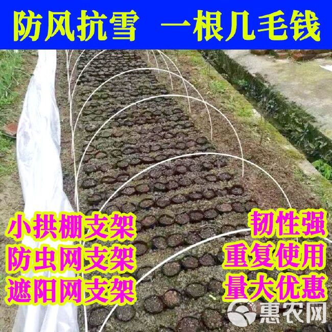 农用拱棚实心玻璃纤维杆菜棚骨架小拱棚育苗棚家用支架防虫网棚架