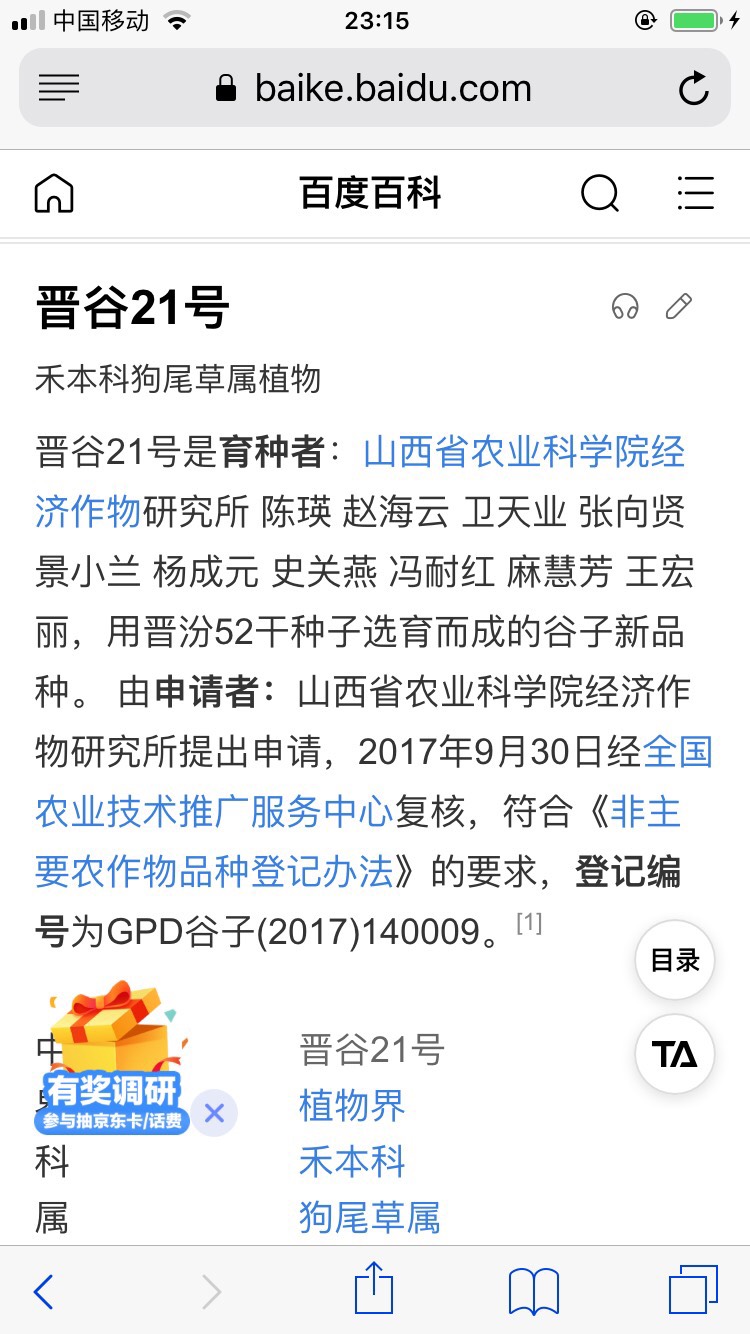 高端晋谷21谷种种植，2024年的晋谷21号谷子现剥的黄小米
