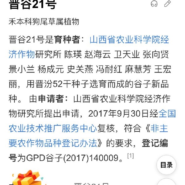 黄小米：山西省原平市2023年秋天新打下来的晋谷21号现剥的