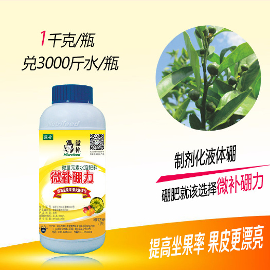 汕头提高坐果率，果皮光滑