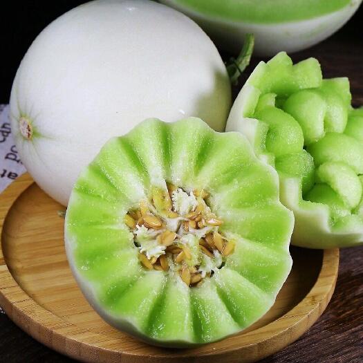延津县玉菇甜瓜苗 种苗 甜瓜苗 成活率高 嫁接甜瓜苗 玉菇蜜瓜苗