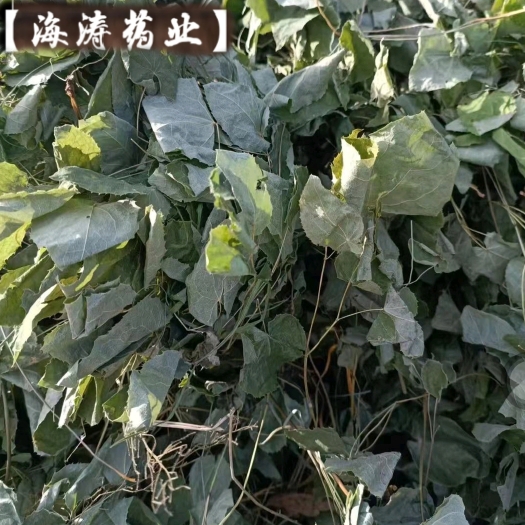 鄄城县【淫羊霍】产地甘肃一手货源大货供应规格齐全量大优惠。