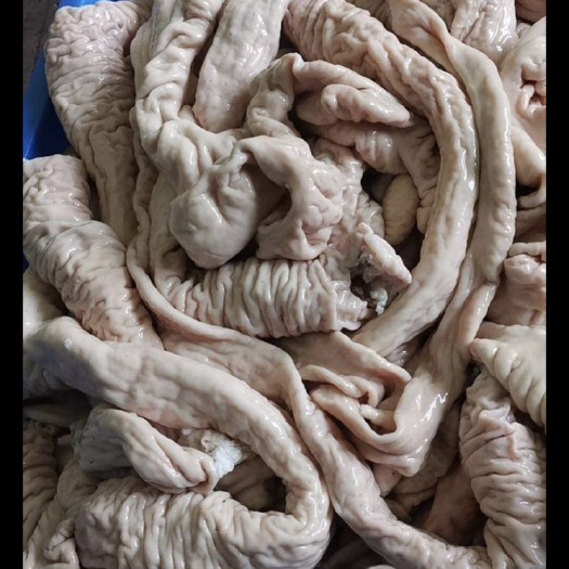 信阳大肠