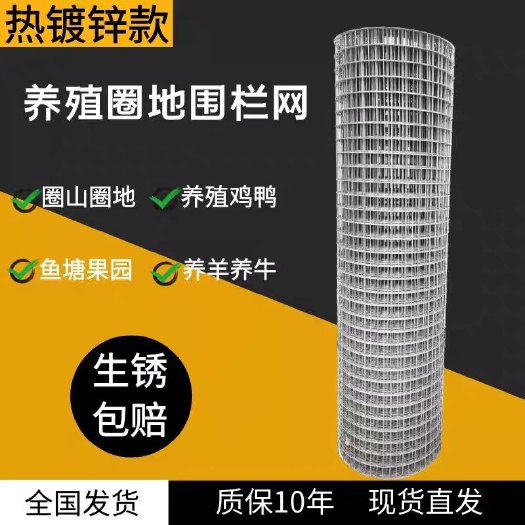 安平县热镀锌铁丝网养鸡狗笼电焊网养殖护栏网圈山果园防护网