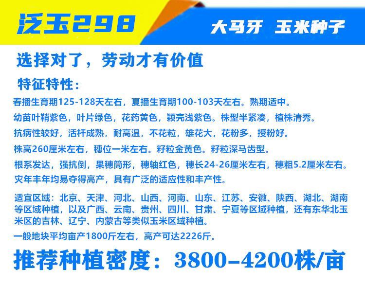 双国审玉米种子新品种矮杆大棒抗倒南方北方均可种植耐高温抗锈病