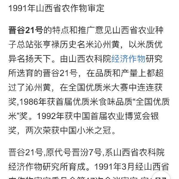 黄小米：山西省原平市2023年秋天新打下来的晋谷21号现剥的