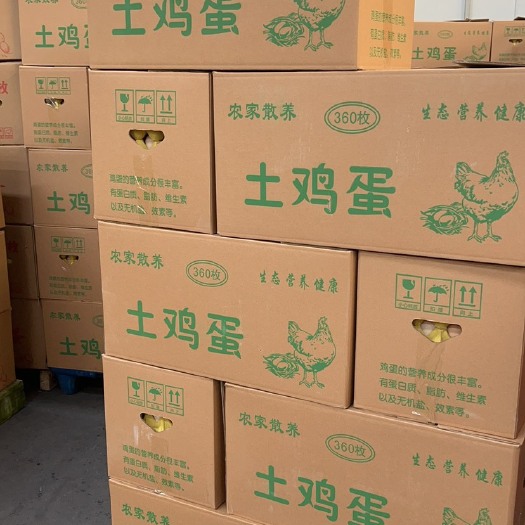合肥六安双色大码40～43
