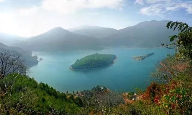 永安市中草药基地求合作