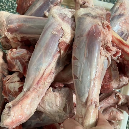 献县大羊前腱