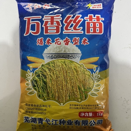华容县国审稻 万香丝苗双季晚稻种子 爆米花香型米生育期114天