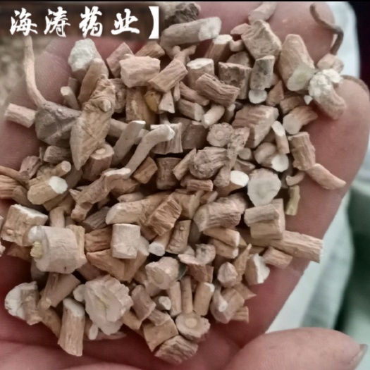 【板兰根】产地东北实物拍摄一手货源大货供应规格齐全量大优惠。