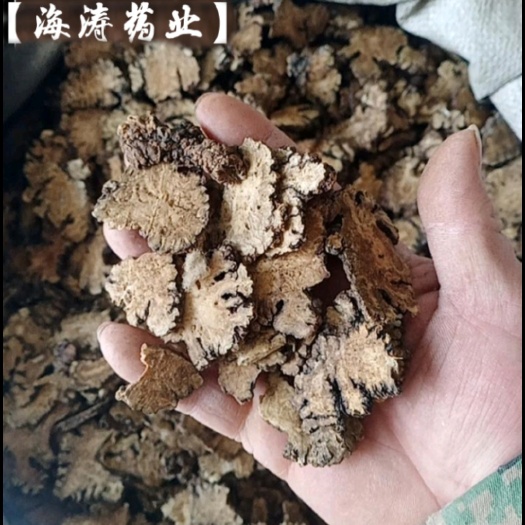 鄄城县【川芎】产地四川实物拍摄一手货源大货供应规格齐全量大优惠。