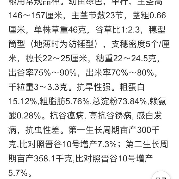 黄小米：山西省原平市2023年秋天新打下来的晋谷21号现剥的