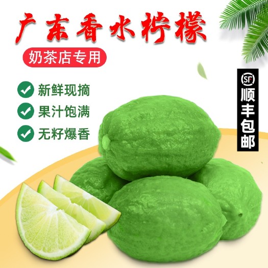 恩平市广东香水柠檬新鲜采摘青柠生鲜水果奶茶店专用30斤包邮