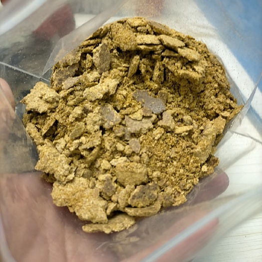 赵县玉米胚芽饼