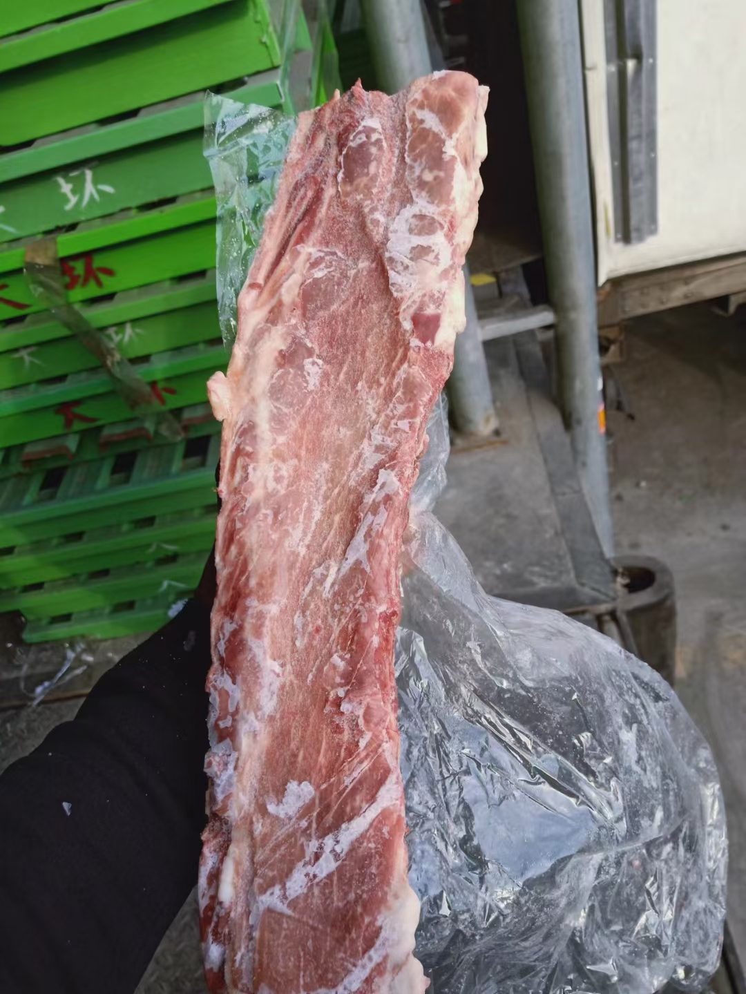 母猪带肉龙骨