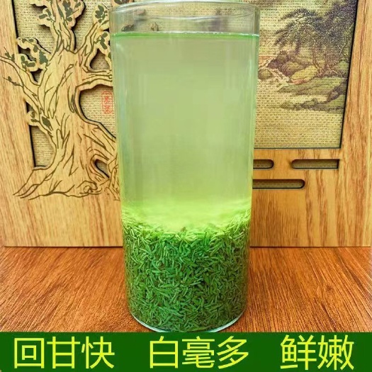 毛尖茶信阳毛尖明前茶沫芽尖断芽绿茶500g原产信阳绿茶
