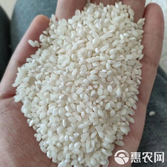 东北大米食堂用米。(全国各地到站价格3850元/吨)含税