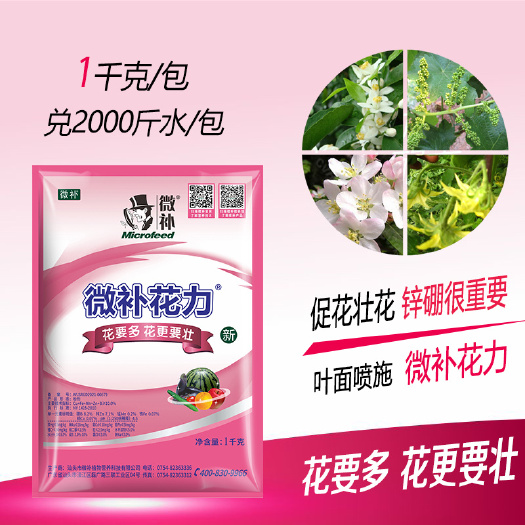 汕头花多花壮关键点