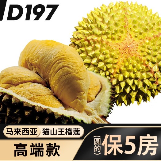 深圳顺丰包邮整箱20斤D197猫山王榴莲保五房 当季新果液氮整果
